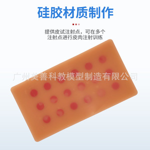 Module de simulation pédagogique : Injection intradermique, Pratique des injections, Module d'injection cutanée, Modèle de point d'injection cutanée pour test. - Product Image 3