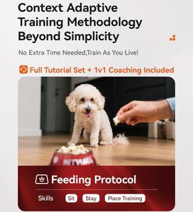 USMILEPET 스마트 반려동물 훈련용 리드줄, 당김 방지 목줄 포함 스마트 자동 무선 강아지 훈련 목줄 - Product Image 5