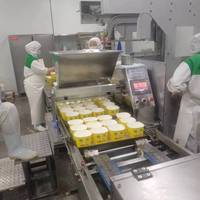 Machine automatique de glaçage pour gâteaux, compatible farine, lait et œufs