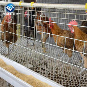 Cage à poulets manuelle de type H pour l'<span class=keywords><strong>élevage</strong></span> de volailles - Product Image 2