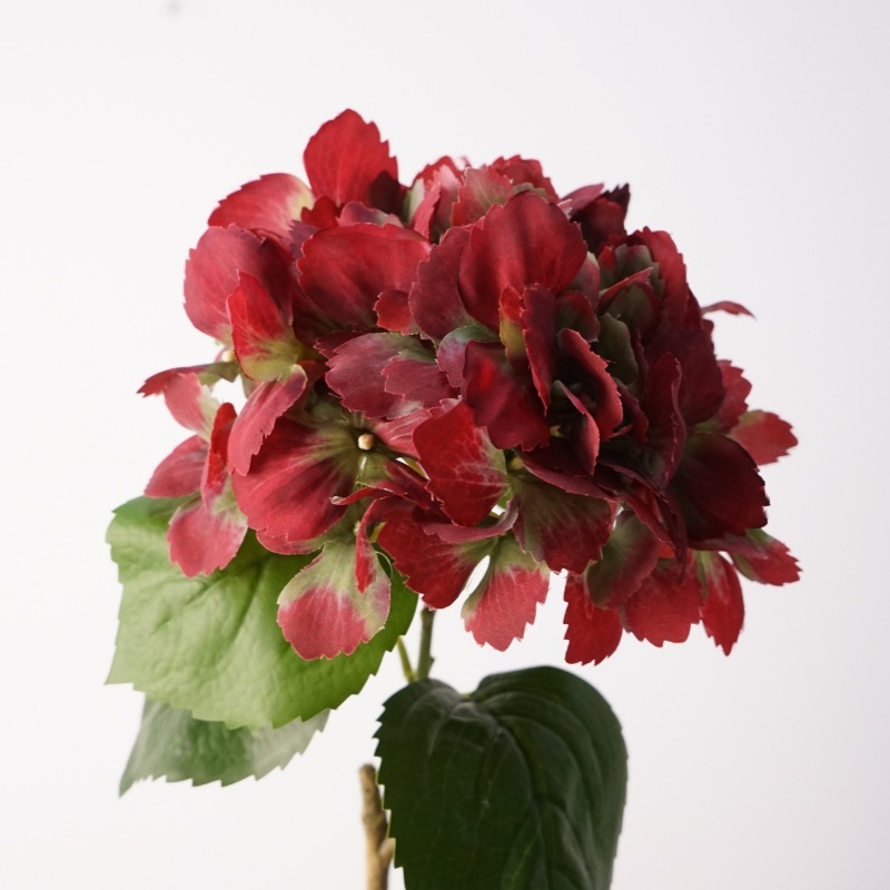 Dégradé 3D onirique hortensia rouge-vert