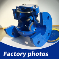 Clapet anti-retour à bride en fonte ductile LanHui HC44X PN16 GGG50 avec disque EPDM DN50-DN800, type oscillant pour distribution d'eau et eaux usées