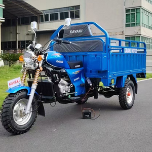 Tricycle à 3 roues 200cc avec amortisseur arrière vertical, occasion, pour l'Afrique - Vente chaude à l'exportation - Product Image 5
