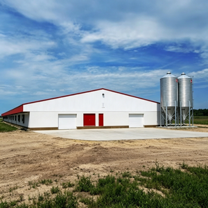 Windproof Seismic Resistant Modern Steel Structure Farm <strong>House</strong> <strong>Chicken</strong> <strong>House</strong> Prefab Poultry Shed Customization - Product Image 4