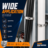 Attaches-câbles en acier inoxydable auto-bloquantes de qualité 304, 4,6x150 / 4,6x200 mm de largeur, vente en gros directe d'usine, 100 pièces/paquet