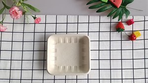 Plateau alimentaire de canne à sucre jetable biodégradable Descartable Platos Desechables écologique pour les occasions de fête - Product Image 2