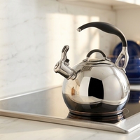 Bouilloire sifflante moderne en acier inoxydable poli miroir, compatible induction, écologique, sans revêtement, pour la maison et les hôtels