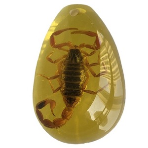 Pendentif spécimen d'insecte véritable ambre phosphorescent boîte aveugle archéologique pour enfants accessoires résine insecte ambre dessin animé - Product Image 5