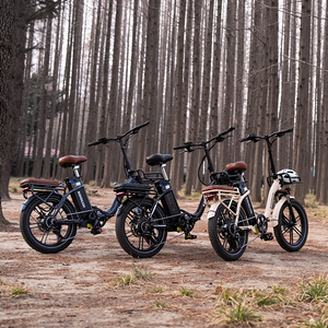 Vélo pliant électrique à gros pneus KOOLUX X16, 7 vitesses, moteur sans balais en alliage d'aluminium, pour trajets domicile-travail, en promotion sur le site EU Warehouse Dropshipping. - Product Image 1