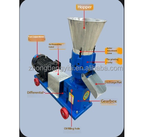 Máquina de Procesamiento de Alimentos para Animales a Precio Económico, Máquina de Pellets para Alimento de Aves, Pollo y Peces - Product Image 3