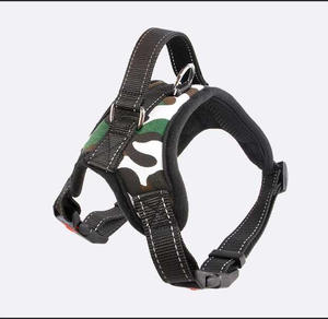 Correa Extensible para Perro, Estilo Hueso, Fabricada en Zhejiang, para Perros Medianos/Grandes, Golden Retriever, <span class=keywords><strong>Doberman</strong></span>, Venta al Por Mayor - Product Image 2