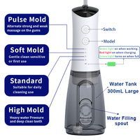 Fil dentaire électrique professionnel jet de nettoyage des dents portable pic dentaire eau flosser irrigador buccal irrigateur oral