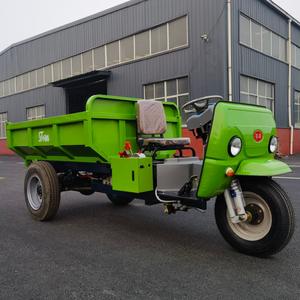 Tricycle électrique de cargaison avec la batterie au plomb puissante exempte d'entretien et deux sièges en cuir de luxe - Product Image 4