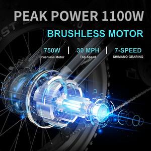 Vente flash 2025 Nouveaux vélos électriques <span class=keywords><strong>Batterie</strong></span> au lithium 36V 750W Haute puissance Longue portée 65km Vente en gros d'usine - Product Image 3