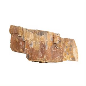 fossiles treibholz sortierte zweige bonsai aquarium natürliche treibholz-zubehör reptilien-dekoration ornament - Product Image 3