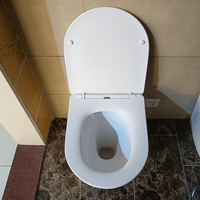 Filigrane moderne une pièce toilette salle de bains WC articles sanitaires toilettes en céramique retour au mur