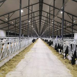 Construcción de Naves Agrícolas Prefabricadas de Acero a Bajo Costo: Establos para Vacas, Ovejas, Ganado Lechero, Cabras, Aves de Corral y Cerdos - Product Image 2