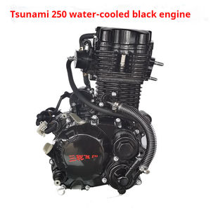 Motor de Motocicleta [Nuevo Tsunami] 250 con Doble Refrigeración para Triciclo, Motor Zongshen // Motor para Scooter - Product Image 4