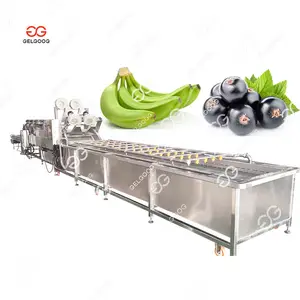 Gelgoog Machine Lavadora de burbujas industrial de fresas limpias Lavadora de plátanos y plátanos con mango