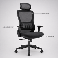 Chaise de bureau ergonomique moderne en maille, dossier haut, soutien lombaire réglable, chaise pivotante pour les cadres, les dirigeants et le personnel