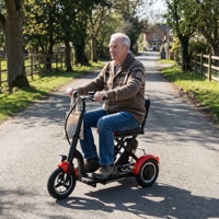 Tricycles électriques compacts et robustes pour adultes avec plateforme basse pour les visites de boulangeries en zone rurale