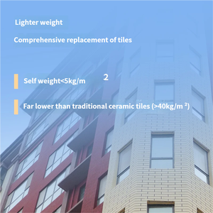 Revêtement mural extérieur en acrylique à haute durabilité, texture élastique, pour <span class=keywords><strong>façade</strong></span> de bâtiment de grande hauteur, décoration blanche durable - Product Image 5