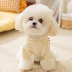 Gilet en tricot pour animaux de compagnie, pour petits chiens, motif lettre pomme, blanc et bleu, en polyester, vêtements d'automne et d'hiver - Product Image 2