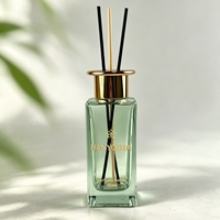 Bouteille diffuseur de parfum en verre transparent personnalisée en usine, 120 ml, 200 ml, 250 ml, avec estampage doré de luxe, vide, pour la maison