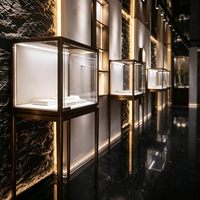 Présentoir à bijoux en aluminium éclairé par LED pour les magasins de détail