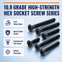 Vis de machine à tête fraisée hexagonale creuse, oxyde noir, grade 10.9, M2 M3 M4 M5 M6 M8 M10 M12, DIN 7991 pour OEM