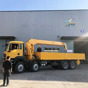 中国ブランド12トン10トン16トン油圧ブーム伸縮アームビルディングクレーンアローリフトローリーマウントクレーントラック