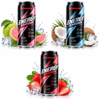 Boisson Énergisante Rafraîchissante au Caféine, Fournisseur Direct du Fabricant, Boisson Énergisante Gazeuse Type Mojito, OEM