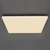 Panneau lumineux LED sans cadre 600x600 40W, plafonnier fin à montage en surface, garantie 5 ans pour l'éclairage commercial et de bureau