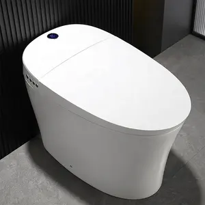 European Style Luxury Hotel Hidden Water Tank Electric Bidet Ceramic Smart Toilet