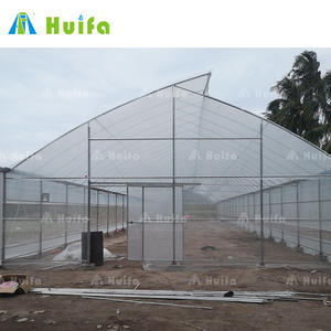 Serre verte, équipement pour plantes, vente <span class=keywords><strong>en</strong></span> gros - Product Image 3