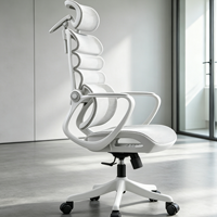 Chaise de bureau ergonomique en maille de designer, vente en gros, dossier haut moderne et artistique, qualité supérieure, OEM ODM, pour la maison, le bureau et l'école
