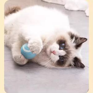 Jouet pour chat intelligent, nouvelle balle automatique qui roule, jouet d'entraînement pour chaton, jouet à mâcher pour animaux de compagnie, jouet interactif pour chat - Product Image 6