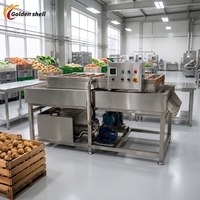 Industriële fruit- en groentewasmachine Automatische reinigingsmachine voor voedselverwerking