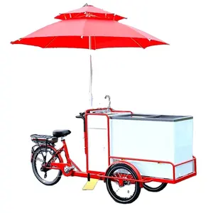 Multi-purpose Ice Cream Freezer Bike Europe Adult Tricycle Freezer Electric Bicycle with Aluminum Bike Frame for Sale