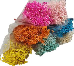 Vente en gros de fleurs préservées éternelles Babysbreath/Gypsophila 120 g/pack de qualité A pour la décoration intérieure et le bricolage - Product Image 1