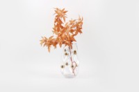 Vase en verre irrégulier minimaliste nordique avec accents de perles dorées, vase transparent moderne pour fleurs, décoration esthétique pour la maison