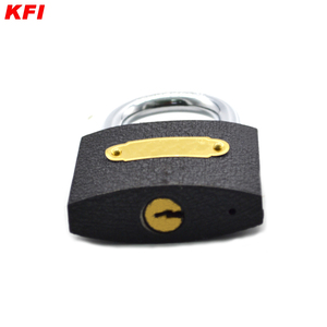 Diferente tamaño viejo diseño, precio barato, material de hierro candado - Product Image 4