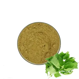 100% Factory Supply Natural 4:1 Stinging Nettle Leaf Extract Powder