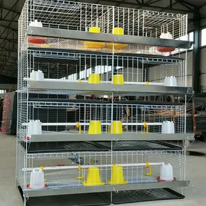 day old chicks grower rearing cages fattening cage for farms in ghana