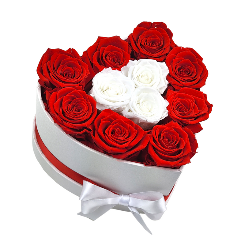 Carte D'anniversaire Pop-up 3D - Motif Paon Irisé - Carte De Saint