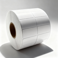 Papel Adhesivo Térmico Directo Zexu T1 en Rollo para Etiquetas de Códigos de Barras para Empaquetado con Forma Irregular