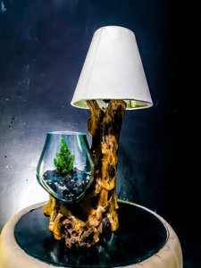 Eco-friendly <span class=keywords><strong>Driftwood</strong></span> Terrário De Vidro Fundido Aquário Preservado Pólo Musgo Para Terrários Jardinagem Arte Home Decor - Product Image 4