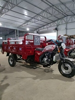 Tricycle cargo avec side-car, carrosserie ouverte, moteur à essence 175 cm³ refroidi par air, caisse de chargement 1,6x1,2m