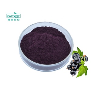 Faitury – <span class=keywords><strong>poudre</strong></span> d'extrait de baies d'açai séchées à froid - Product Image 1