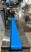 RHZB600 Machine d'emballage horizontale automatique Flowpack pour pizza congelée gâteau fromage poulet